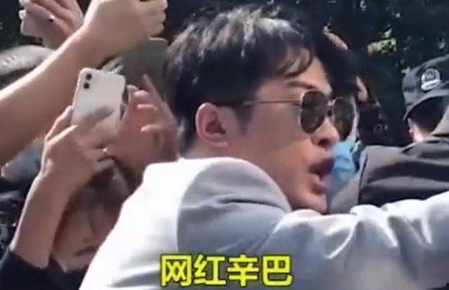 爆料辛巴燕窝视频播放在线观看,揭秘网红燕窝背后的真相  第2张